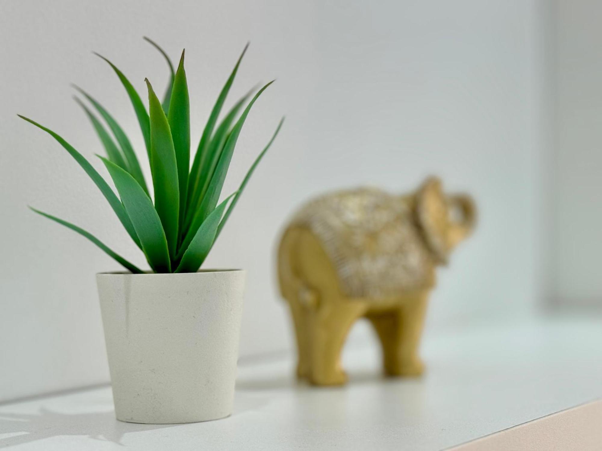 Apartamento Sweet Capuchinos Málaga Esterno foto